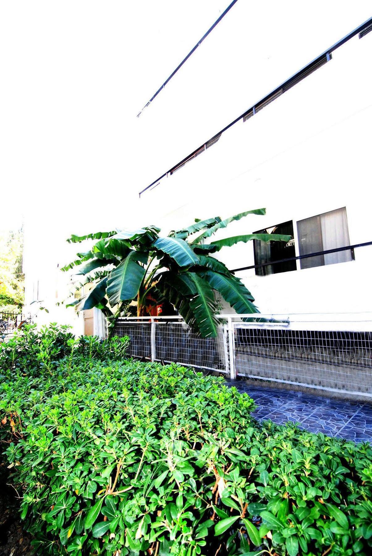 Aegeon Hotel - Adults Only Kos Bagian luar foto